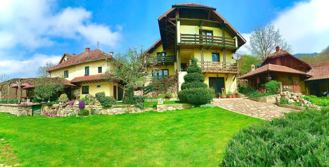 Vila Djordjevic - Priroda Vas Okruzuje Bed & Breakfast Brus Exterior photo