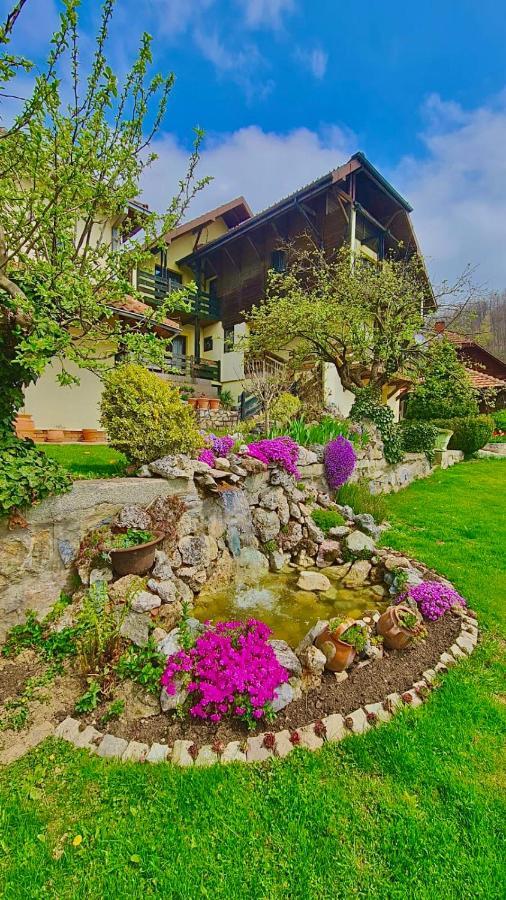 Vila Djordjevic - Priroda Vas Okruzuje Bed & Breakfast Brus Exterior photo